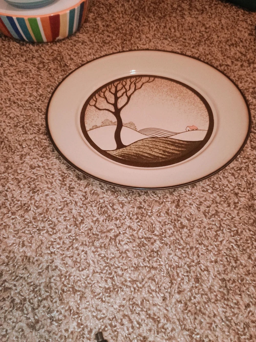 Danby Savoy Dishes Complete Set Will Never Been Used